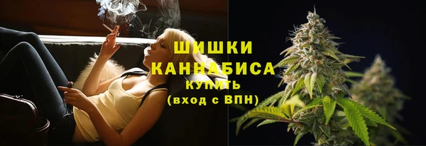 spice Богородицк