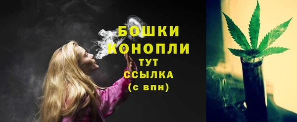 spice Богородицк