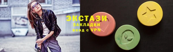 spice Богородицк