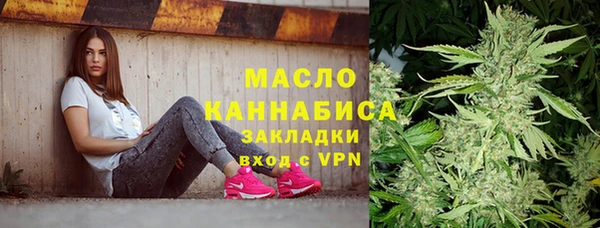 spice Богородицк