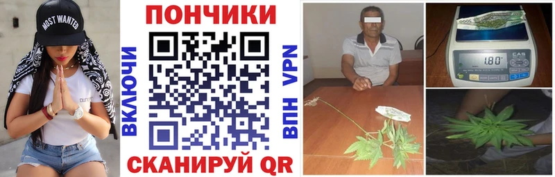 Канабис индика  как найти   Коммунар 